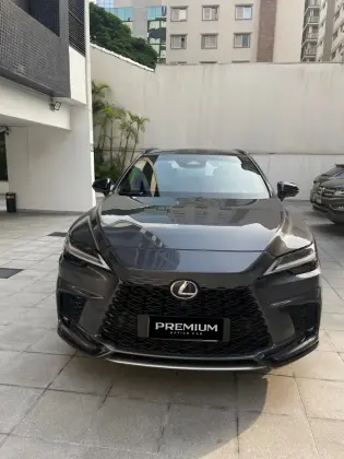 LEXUS RX 500h 2024