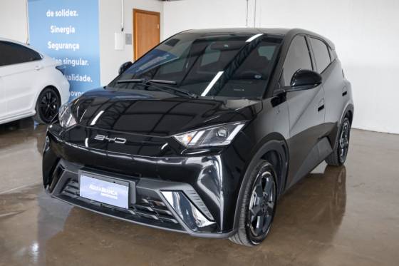 BYD DOLPHIN MINI 2025