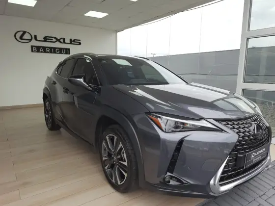 LEXUS UX 250h 2024