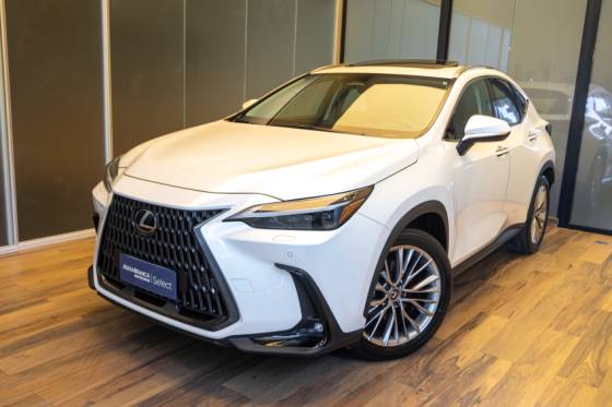 LEXUS NX 350h 2023