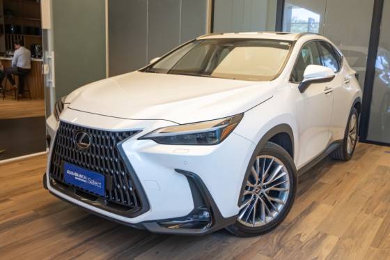 LEXUS NX 350h 2023