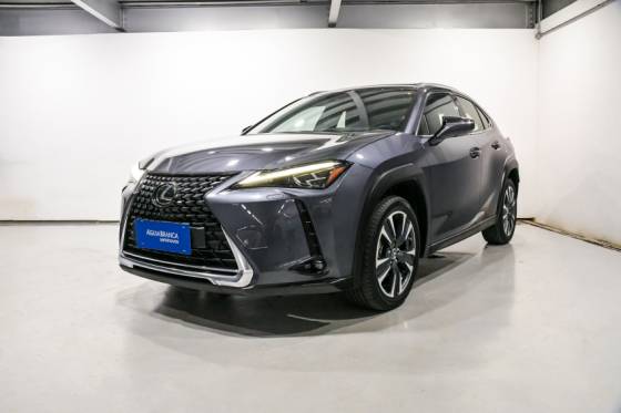 LEXUS UX 250h 2024