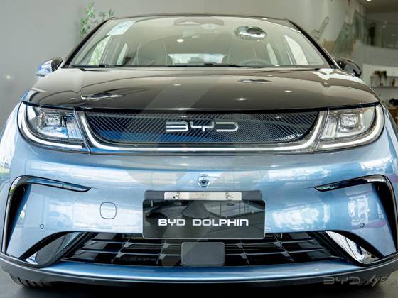 BYD DOLPHIN 2025