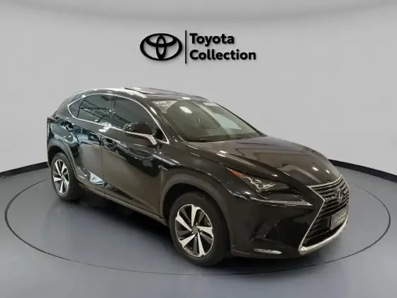 LEXUS NX 300h 2019