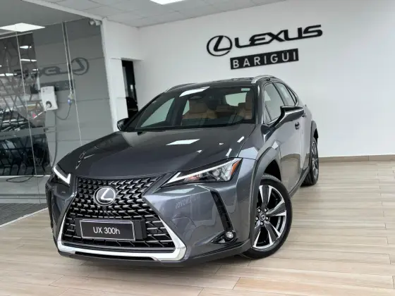LEXUS UX 300h 2026